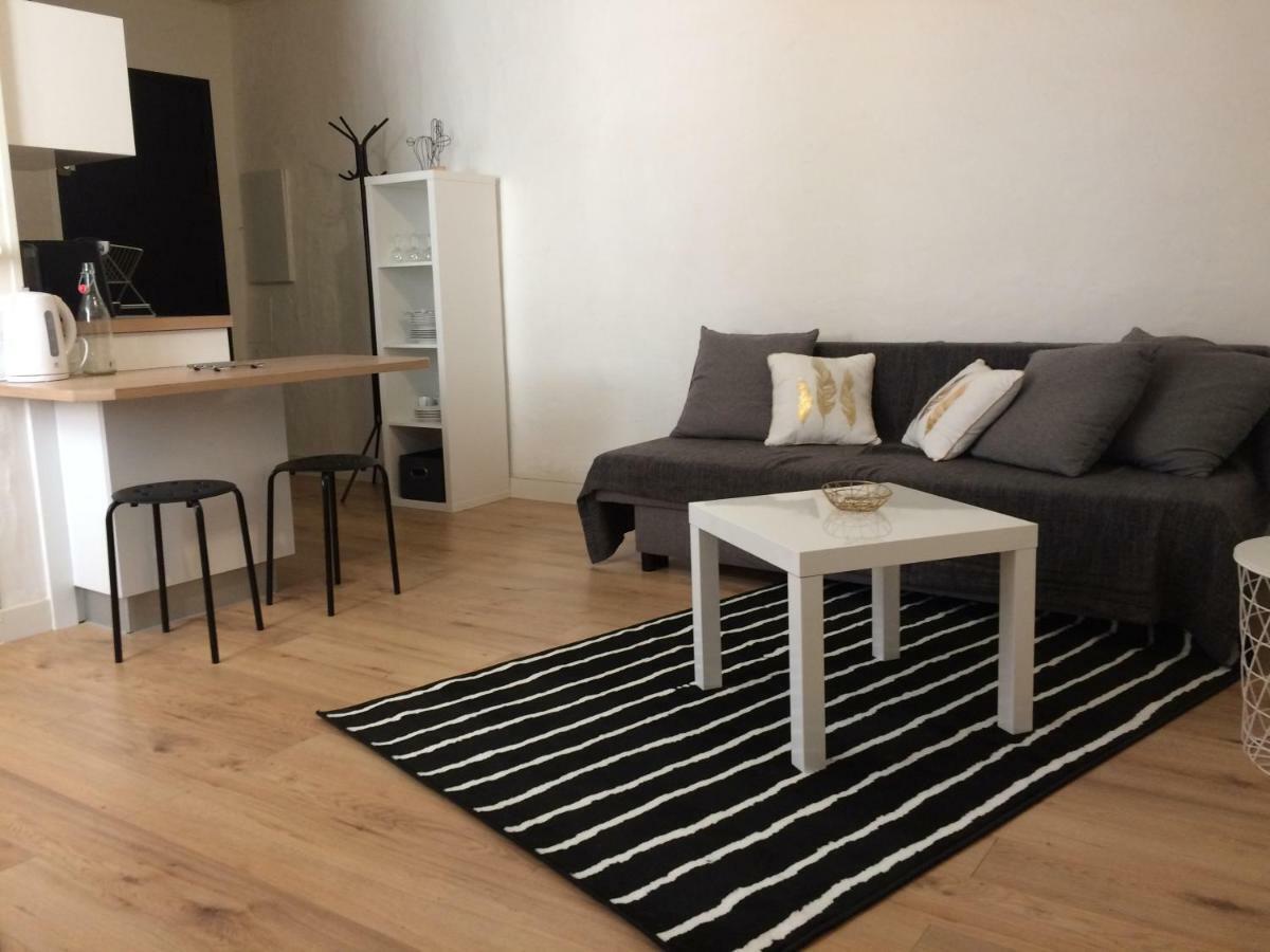 Sci Charcutiere 64 Apartman Bayonne Kültér fotó