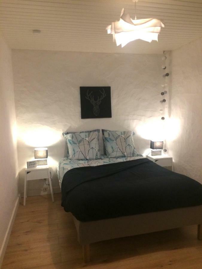 Sci Charcutiere 64 Apartman Bayonne Kültér fotó